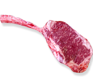 RIBEYE